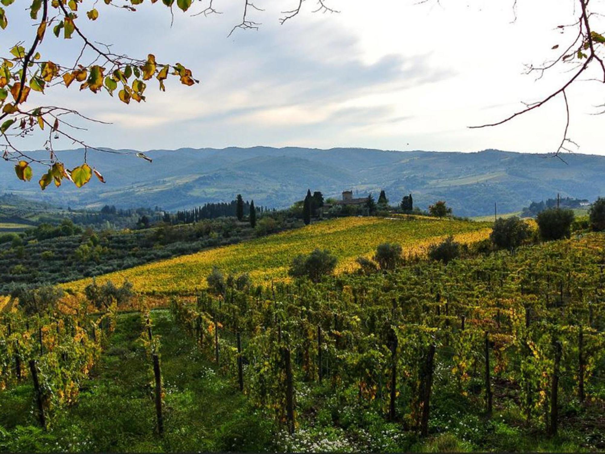 Holiday Home La Torre By Interhome Lucolena in Chianti Екстер'єр фото