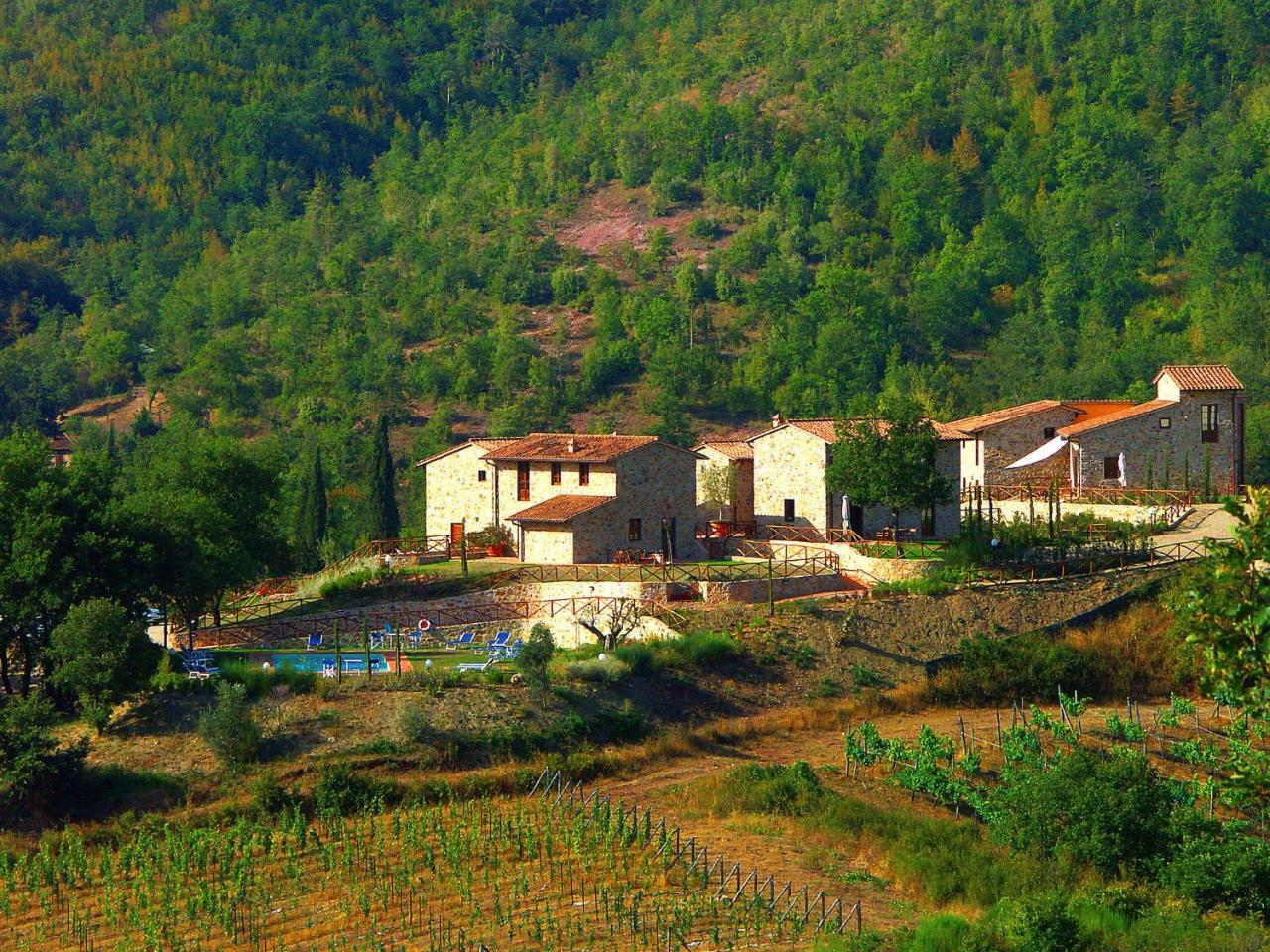 Holiday Home La Torre By Interhome Lucolena in Chianti Екстер'єр фото